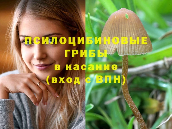 Альфа ПВП Бронницы