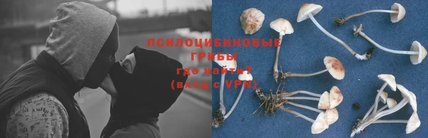 гидра Бугульма