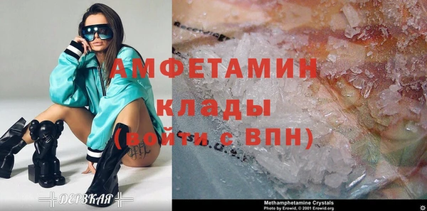 молекула духа Бородино
