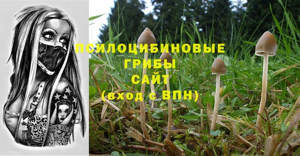 ешки Беломорск