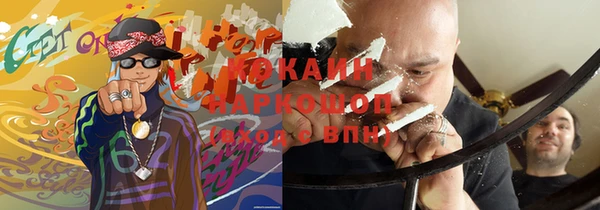 молекула духа Бородино