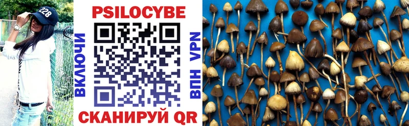 Галлюциногенные грибы Cubensis  ОМГ ОМГ ссылка  Всеволожск 
